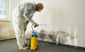 Best Commercial Mold Inspection in USA