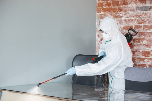 Best Environmental Consulting for Mold Prevention in USA